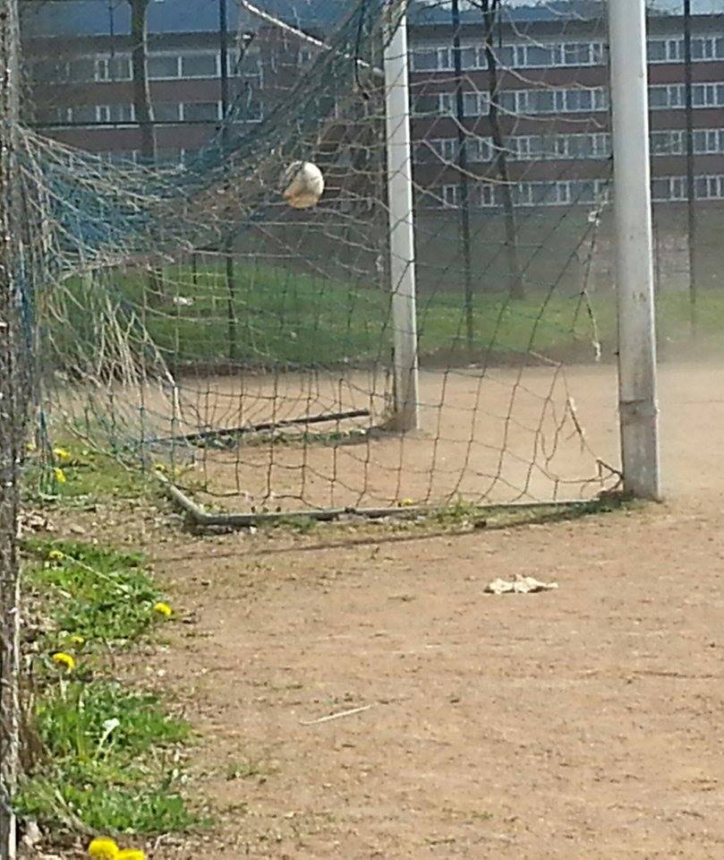 Saison 2017